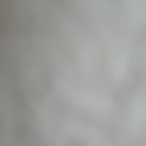 Meet your Posher, Shawn